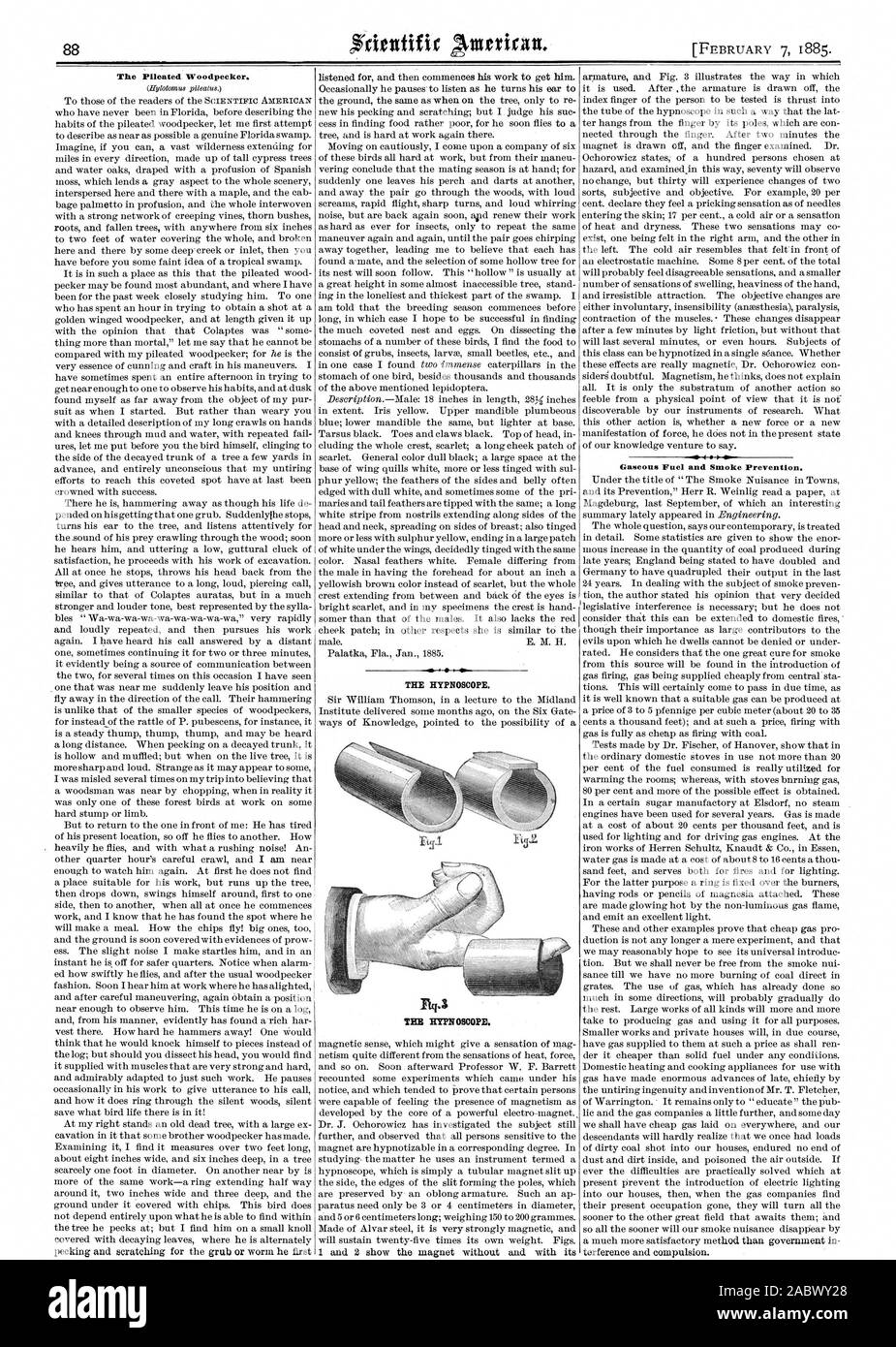 Le Grand Pic. Le HYENOSCOPE. Le carburant gazeux et de la fumée la prévention. Électrochirurgie et contrainte. THEI. HYPEOSCOPE, Scientific American, 1885-02-07 Banque D'Images