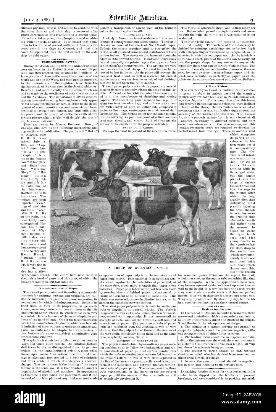 Transformations de papier. Un rare visiteur. Dessins pour les tapis. Un GROUPE DE BOVINS HOLSTEIN., Scientific American, 1885-07-04 Banque D'Images