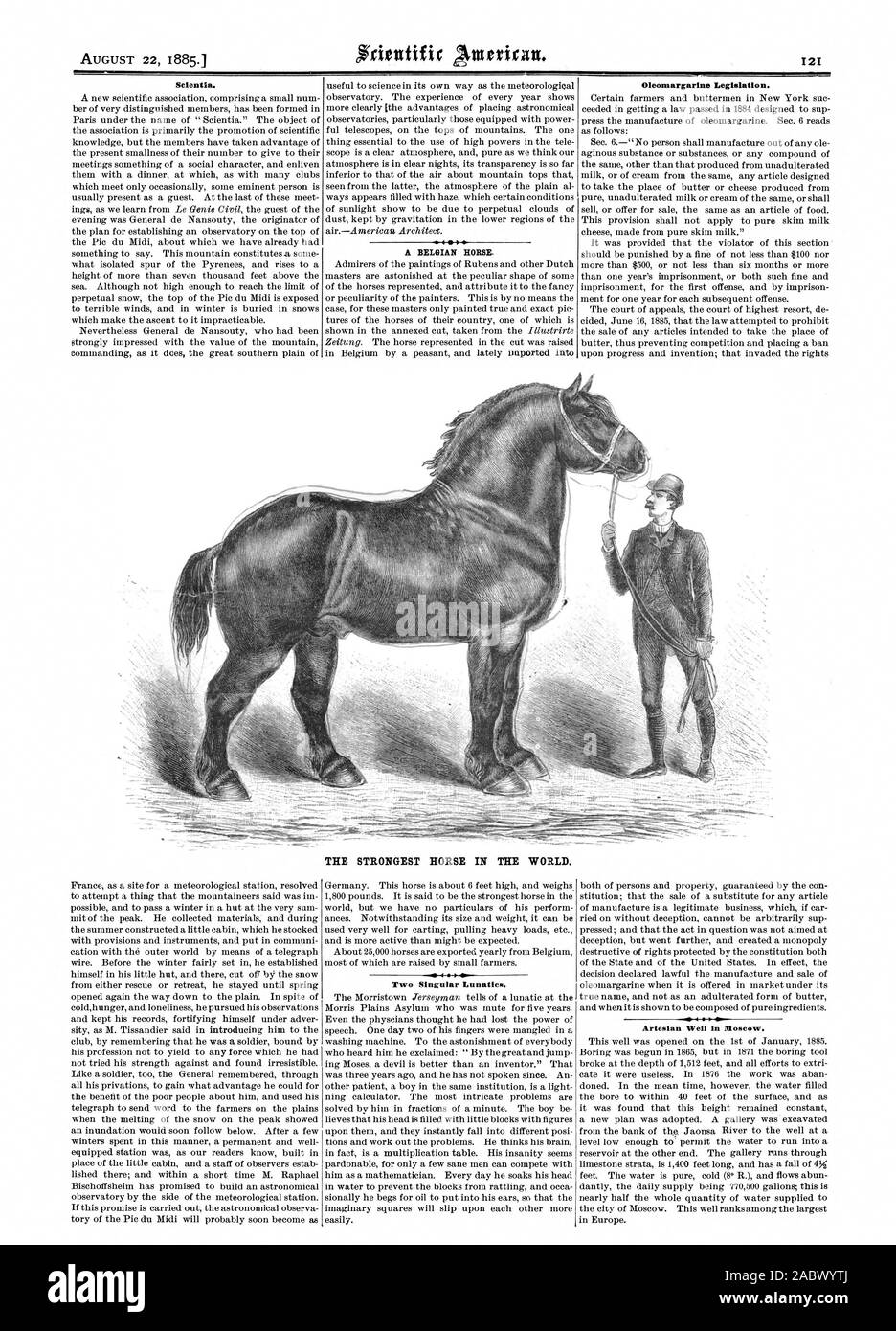 Chercheur scientifique. 4 Un cheval belge. Législation margarine. Le cheval LE PLUS FORT DANS LE MONDE. Puits artésien à Moscou. Deux fous. singulier, Scientific American, 1885-08-22 Banque D'Images