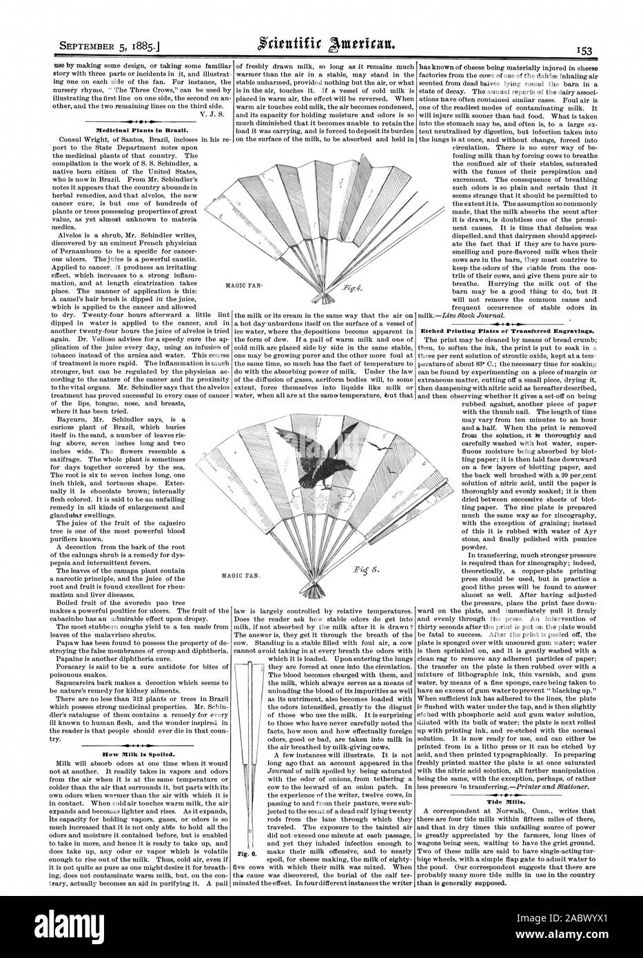 Les plantes médicinales au Brésil. Comment le lait est suspecte. 4. Les plaques d'impression gravées de transférés de gravures. Tide Mills., Scientific American, 1885-09-05 Banque D'Images