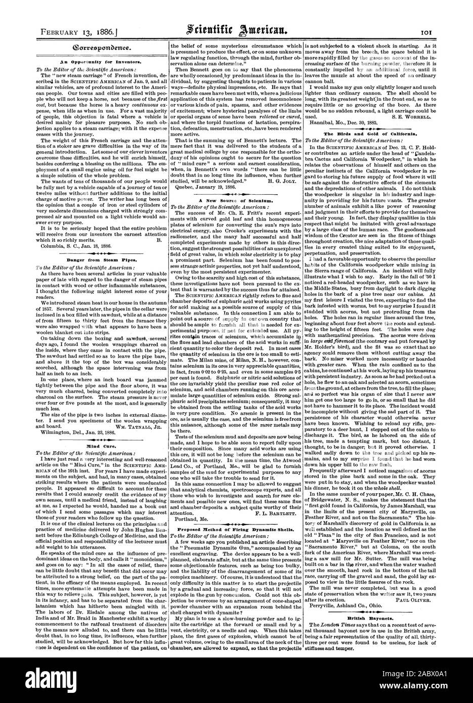 L'occasion pour les inventeurs. Danger de conduites de vapeur. L'esprit de guérison. vs.f oe chambre sont autorisés à élargir de façon à ce que le projectile les oiseaux et l'or de Californie. Les baïonnettes britanniques., Scientific American, 1886-02-13 Banque D'Images