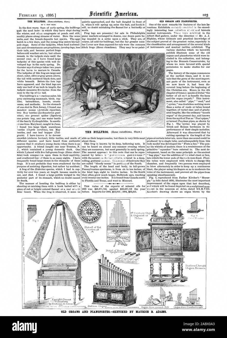 Vieux organes et de pianofortes. Vieux ORGANES ET PIANOFORTESSKETCHED PAR MAURICE B. ADAMS. 1.1 i, Scientific American, 1886-02-13 Banque D'Images