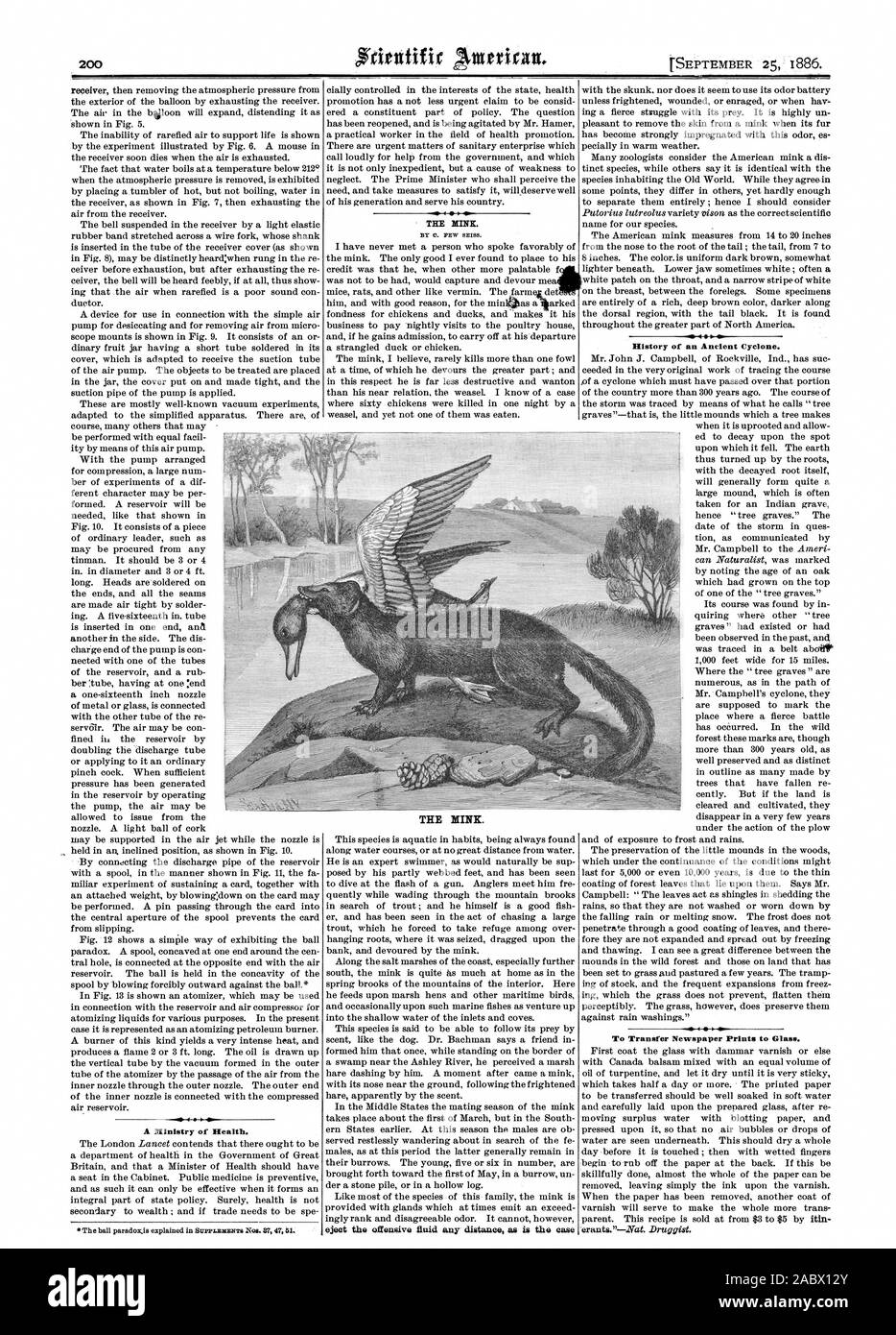 Le vison, Scientific American, 1886-09-25 Banque D'Images