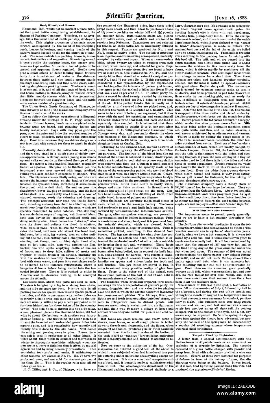 Le réservoir est vendu comme ' ' d'autoclave pour féconder et refuser le sang est recueilli avec empressement et mis à profit dans l'affaire re parures. Nous en venons maintenant à l'utilisation de la graisse. La margarine Oleo a perdu une bonne partie de l'abus qui t il a été soumis lors de leur première introduction à une personnes qui souffrent sous les imitations de tout sauf air fire. et l'eau. Il est maintenant un bon marché et acceptable de l'alimentation et de l'arti cle si honnêtement un outre satisfaisante pour l'alimentation. Le ministère de l'Hammond margarine d'emballage est réalisée de façon identique à un, Scientific American, 1888-06-16 Banque D'Images