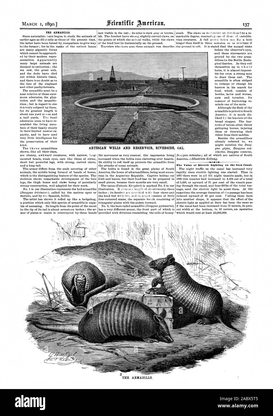 L'armadillo. La valeur de l'éclairage électrique sur le Canal de Suez. Les puits artésiens ET RÉSERVOIR RIVERSIDE CAL. L'armadillo., Scientific American, 1890-03-01 Banque D'Images