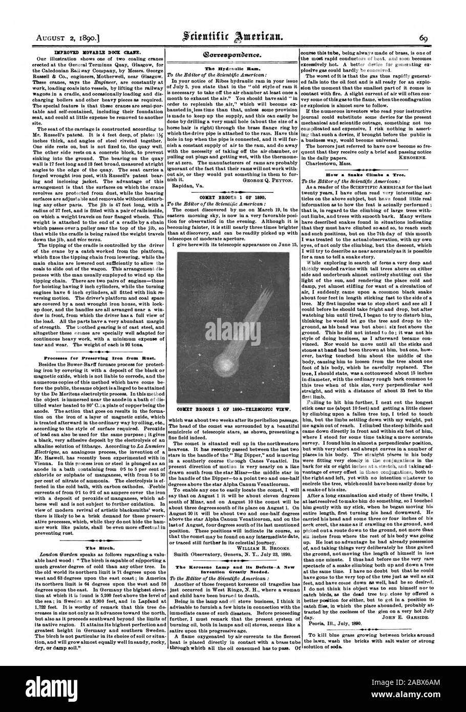 L'AMÉLIORATION DE BIENS MEUBLES BOCK GRUE. Le bouleau. earreoponbence. La comète de 1890 BROOKS 1. La lampe à pétrole et ses défauts-une nouvelle invention grandement besoin. Comment un serpent grimpe un arbre., Scientific American, 1890-08-02 Banque D'Images