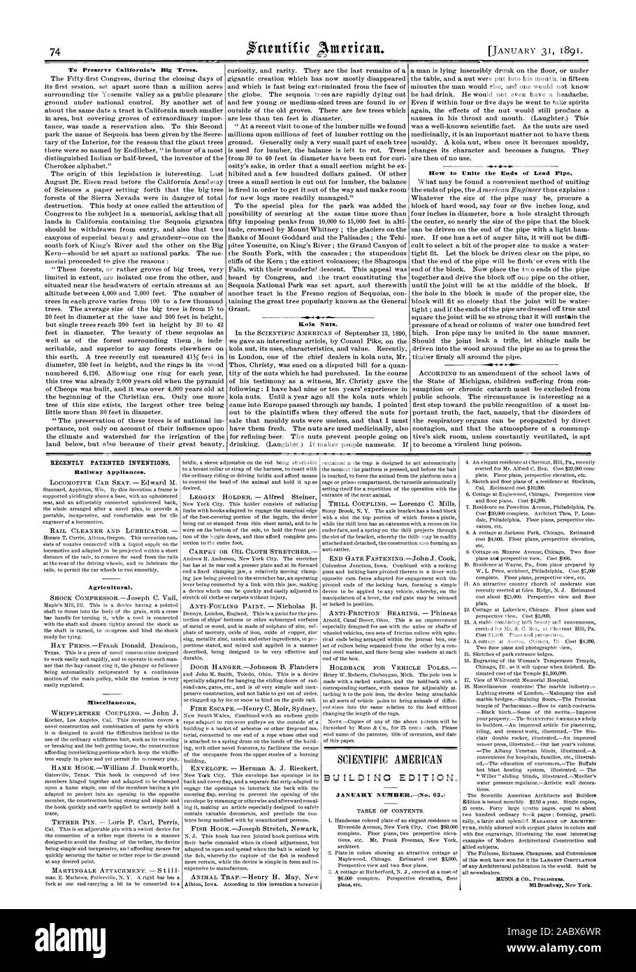 INVENTIONS BREVETÉES. Récemment, Scientific American, 1891-01-11 Banque D'Images