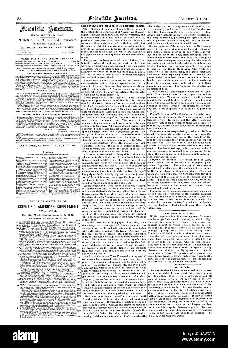 Le gouvernement COLLECTE DES PLANTES D'IMPORTANCE ÉCONOMIQUE. Nitrate de soude. La vitesse d'un cheval., Scientific American, 1891-08-08 Banque D'Images