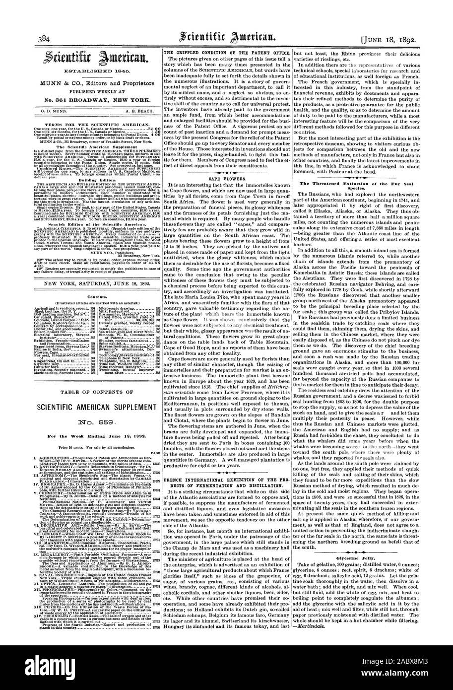 Semaine se terminant le 18 juin 1892. La page de l'amidon dans ce pays 13720 LA CONDITION D'INFIRMITÉ DE L'OFFICE DES BREVETS. CAPE de fleurs. Le Français EXPOSITION INTERNATIONALE DES PRO DUITS DE LA FERMENTATION ET DISTILLATION. La menace d'extinction de la fourrure de l'espèce. Gelée de glycérine., Scientific American, 1892-06-18 Banque D'Images