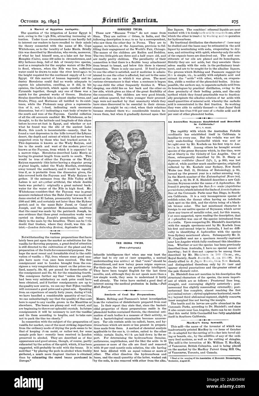 29 octobre 1892 une merveille de l'antiquité égyptienne. La vanille. Jumeaux siamois. L'ORISSA des jumeaux. L'analyse des préparations à base de goudron de houille. Un Australien Scymnus établi et décrit en Californie. MacKeyls. Scierie Gang, Scientific American, 1892-10-29 Banque D'Images