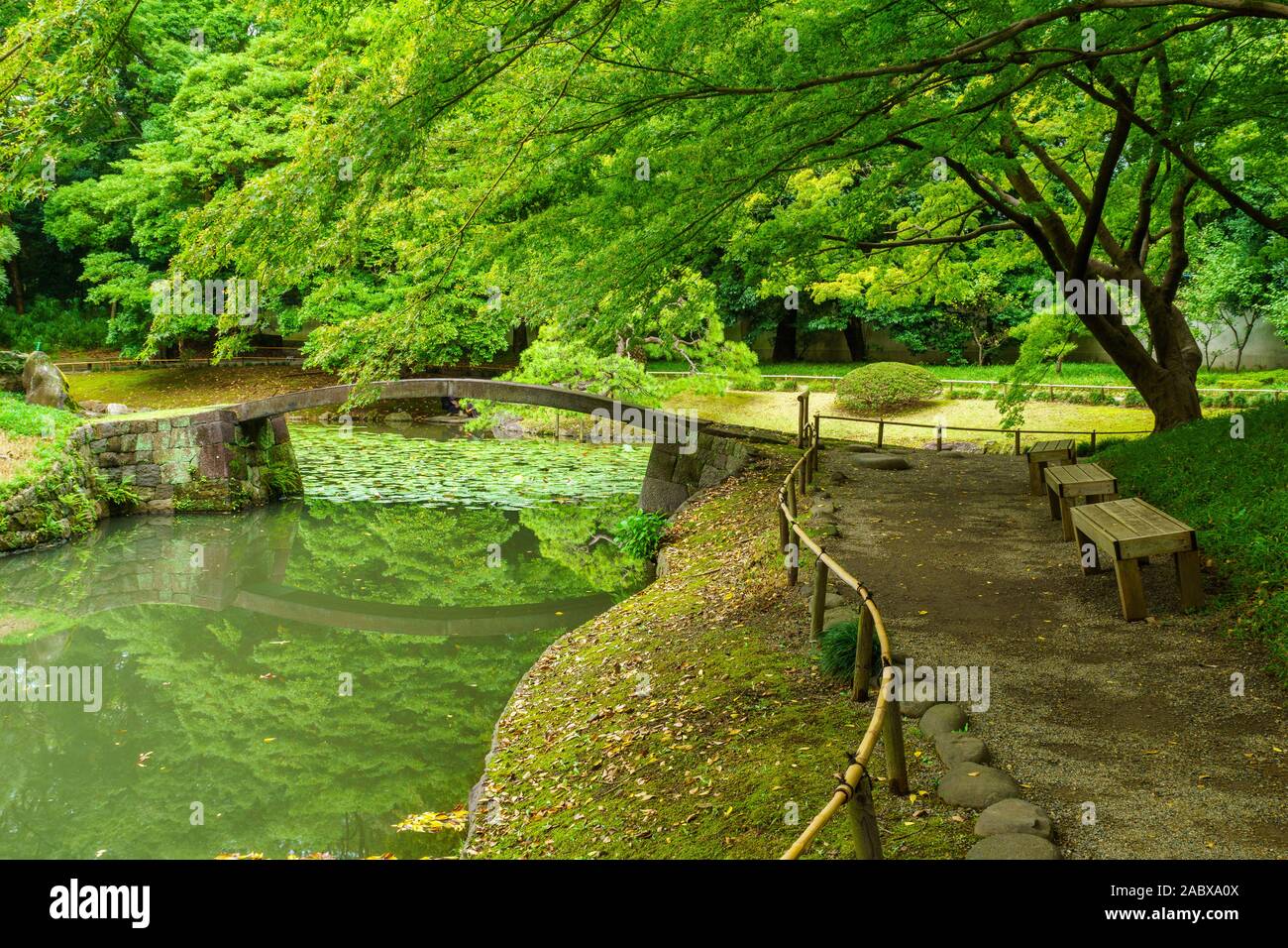 Vue de l'Koishikawa-Korakuen Jardin du xviie siècle, à Tokyo, Japon Banque D'Images