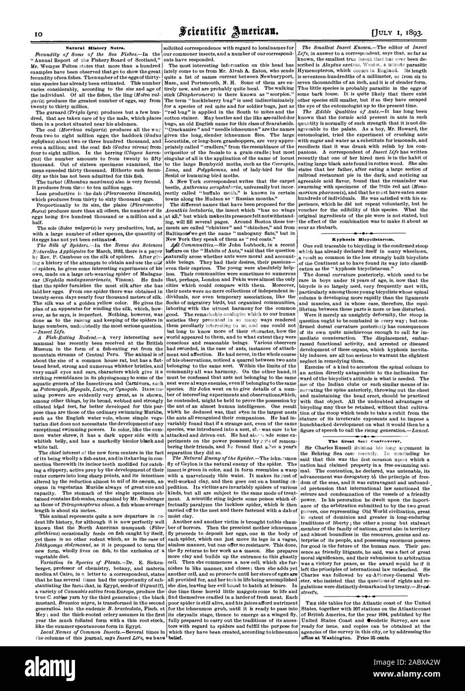 HyphosIs Bieyelistarnin. Le Grand Sceau de controverse., Scientific American, 1893-07-01 Banque D'Images