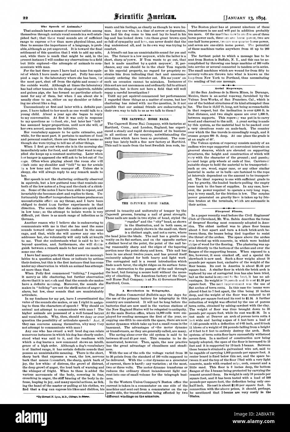 Le discours d'animaux. La CAPE ET L'ongles. La CAPE ET L'ongles. Une révolution dans la télégraphie. bobinages différents sur l'armature. Transports aériens. Planchers coupe-feu. Membres., Scientific American, 1894-01-13 Banque D'Images