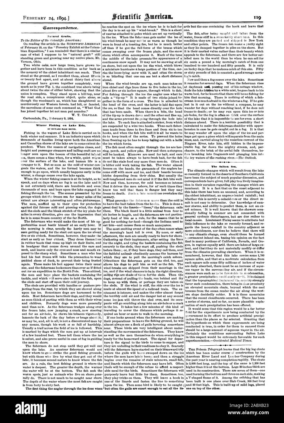Le poisson après avoir été pris et repris de l'eau geler raide dans un délai remarquablement court. Dans cet état, ils sont emballés et expédiés à New York. Oorresponbence Greffes naturelles. Le lac Salton. L'une sur l'autre. La pêche d'hiver sur le lac Érié. Par EDWARD HALE BROSSE. La première chose que le pêcheur à la ligne à travers la glace ne lorsque, Scientific American, 1894-02-24 Banque D'Images