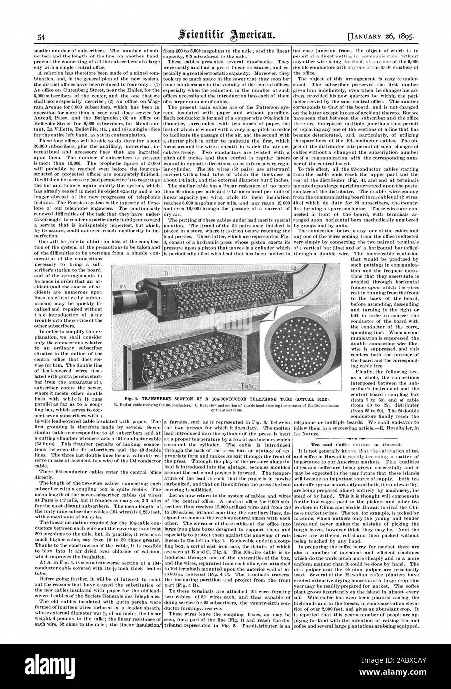 SECTION D'UN RSE TRANSVE 104 conducteurs TUBE TÉLÉPHONE (Taille réelle)., Scientific American, 1895-01-26 Banque D'Images