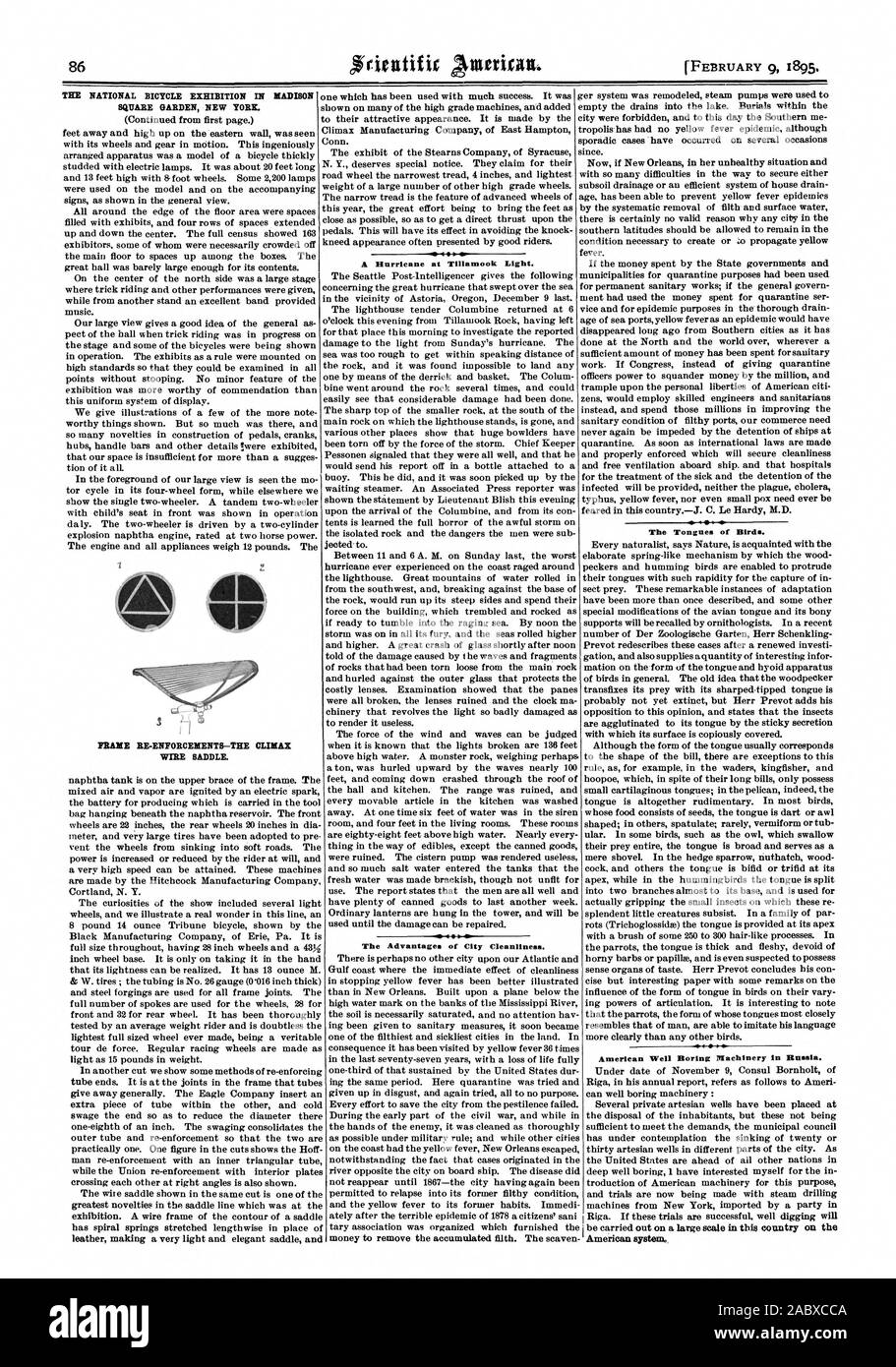 L'EXPOSITION NATIONALE DE LOCATION au Madison Square Garden de New York. Un ouragan à Tillamook la lumière. Les avantages de la propreté de la ville. Les langues d'oiseaux. RE-CHÂSSIS ANTÉRIEUS-Le point culminant de la Selle SUR LE FIL. Bien américain de machines de forage en Russie., Scientific American, 1895-02-09 Banque D'Images
