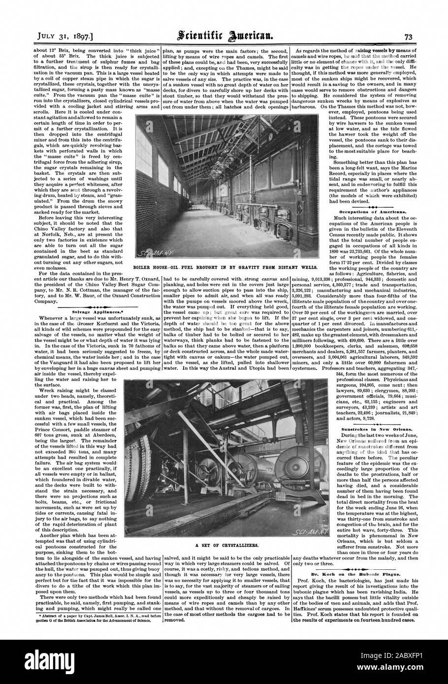 Professions des Américains. Chaufferie d'après-pétrole. En CARBURANT PAR GRAVITÉ À PARTIR DE PUITS éloignés. Les appareils de récupération. Résumé d'un document par le capitaine James Bell Assoc. I. N. A. lire avant l'article G de l'Association britannique pour l'avancement de la science. supprimé. Coups à La Nouvelle-Orléans. Le Dr Koch sur la peste bubonique. Les résultats d'expériences sur quatorze cents cas., Scientific American, 1897-07-31 Banque D'Images