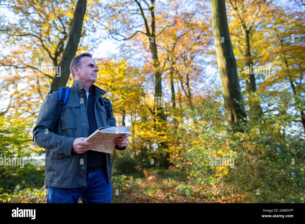 Homme Mature actif avec la carte Marche à travers bois d'automne en Slow Motion Banque D'Images