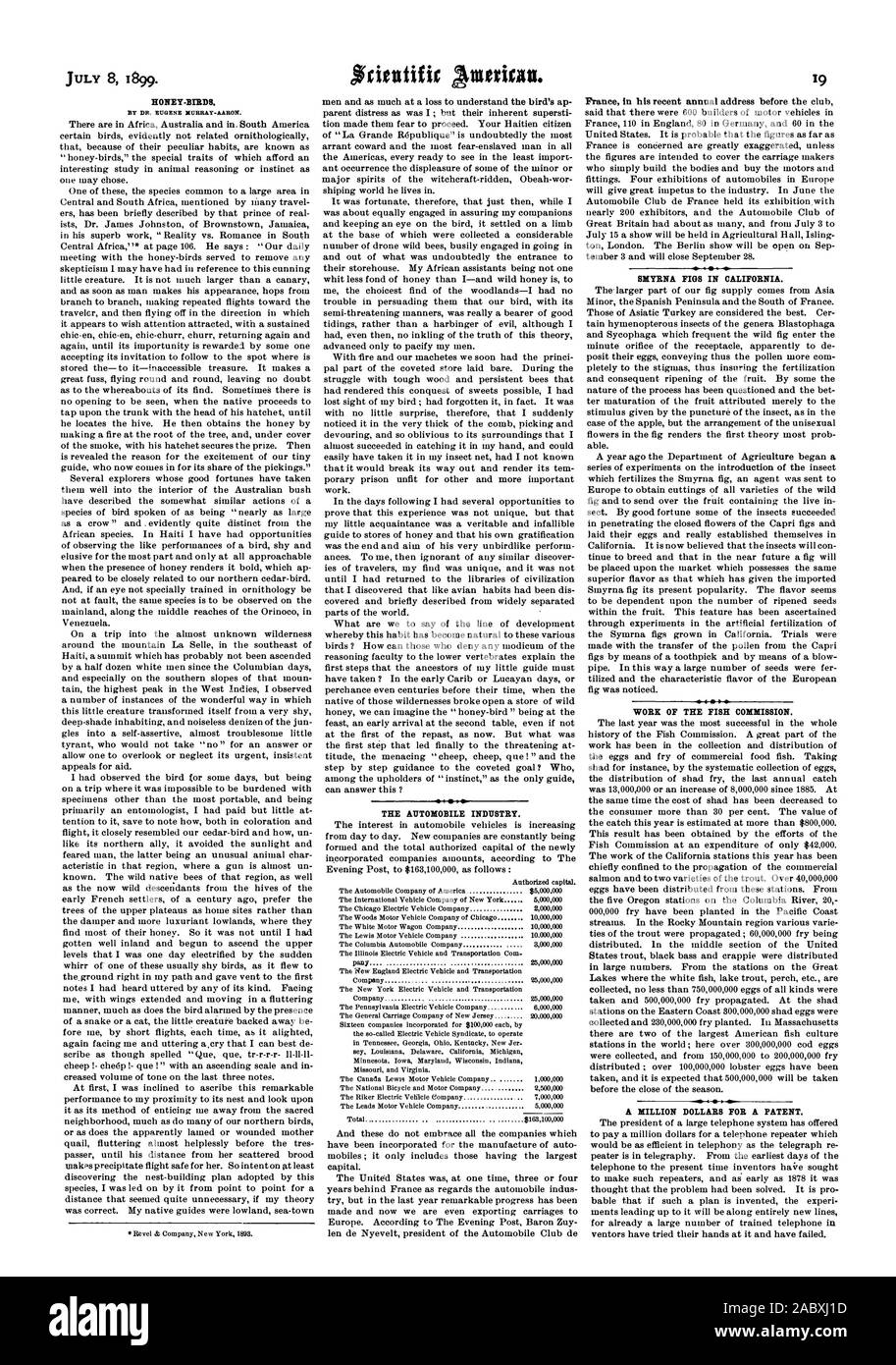 Les OISEAUX-miel. Par DR. EUGENE-XUREAY AARON. L'INDUSTRIE AUTOMOBILE. Figues SMYRNE EN CALIFORNIE. 4 TRAVAUX DE LA COMMISSION. Poisson, Scientific American, 1899-07-08 Banque D'Images