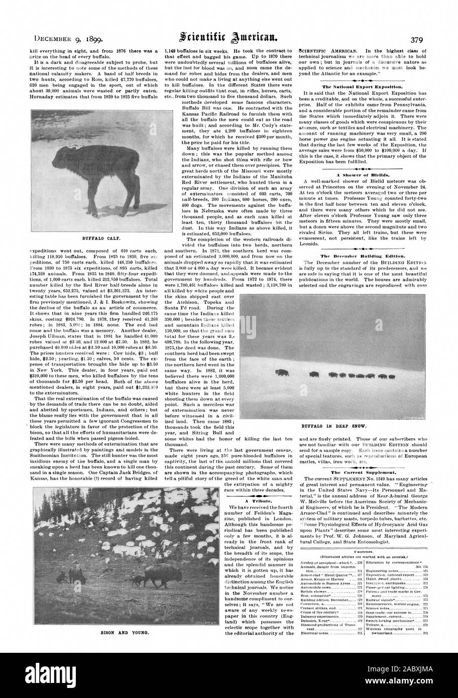 BUFFALO CALF. Un hommage. L'Exposition nationale d'exportation. Une douche d'Bielids. La "rue Bâtiment Décembre Edition. Le supplément actuel. Le BISON ET LES JEUNES. BUFFALO DANS LA NEIGE PROFONDE., Scientific American, 1899-12-09 Banque D'Images