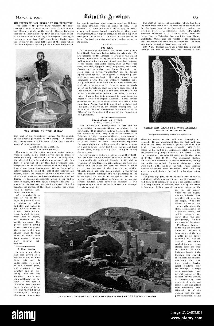 Un nouveau grain. la saison a été un essai de maïs POD. Fouilles à NIPPUR. Le maïs cultivé sacrée par une tribu indienne d'AMÉRIQUE DU NORD (ARENIXIS). L'ÉTAPE TOUR DU TEMPLE DE BEL-DES OUVRIERS SUR LE TEMPLE DE SARGON., Scientific American, 1901-03-02 Banque D'Images