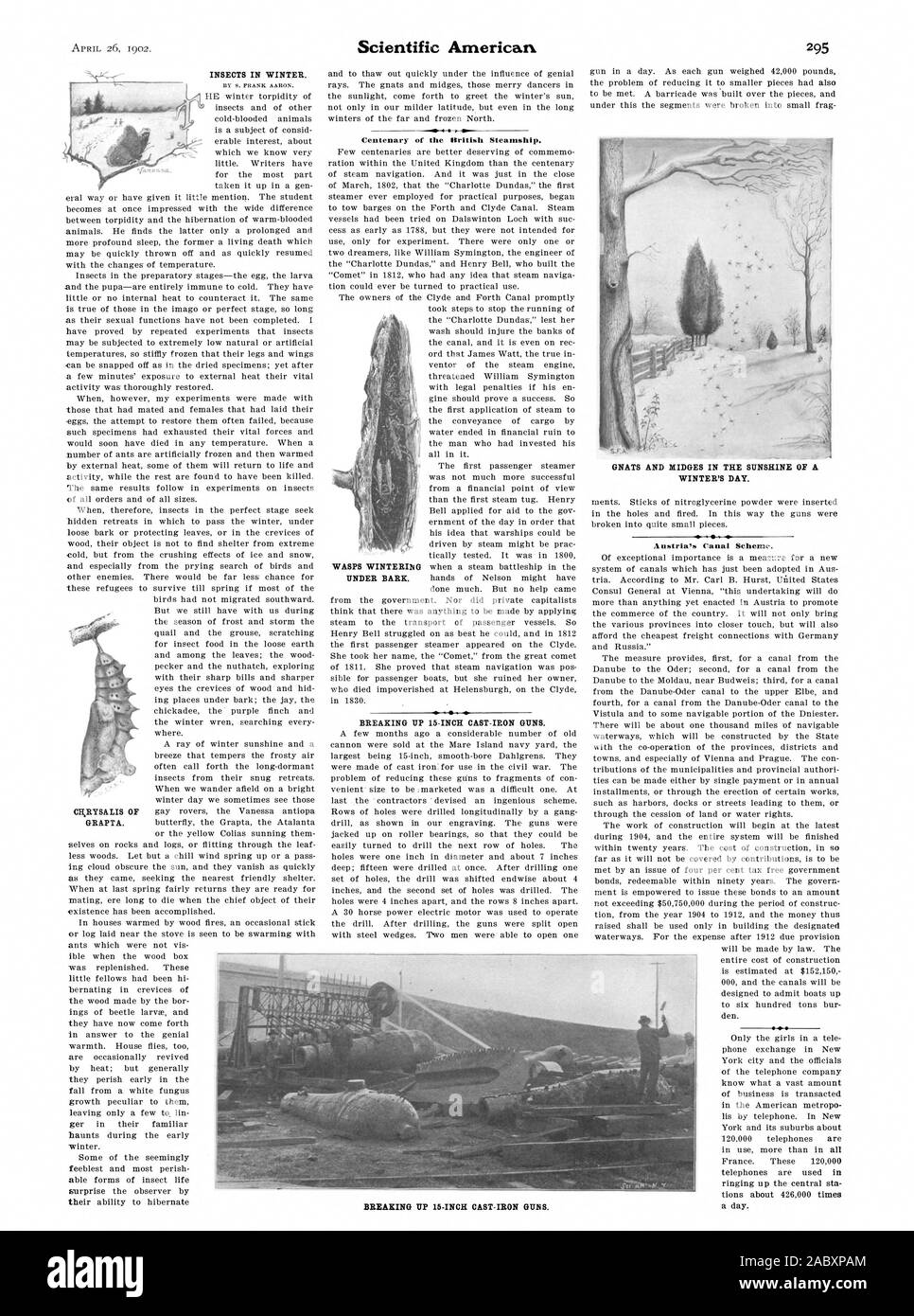 Les INSECTES EN HIVER. Scientific American centenaire de la British Steamship. Démolition le 15 POUCES LA FONTE DES ARMES À FEU. Moucherons ET DES MOUCHERONS DANS LE SOLEIL D'UN JOUR D'HIVER. Autriche's Canal Système. enregistrez la sta tions à propos de 426000 fois par jour. Démolition le 15 POUCES LA FONTE DES ARMES À FEU., 1902-1904-26 Banque D'Images