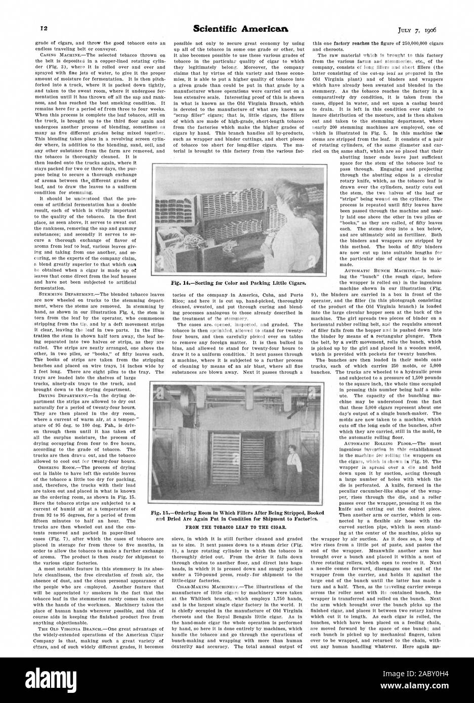 Fig. Commande 15Salle dans laquelle Fillers après les avoir dépouillés réservé et séchées sont à nouveau mis en condition pour envoi vers les usines., Scientific American, 1906-1907-07 Banque D'Images