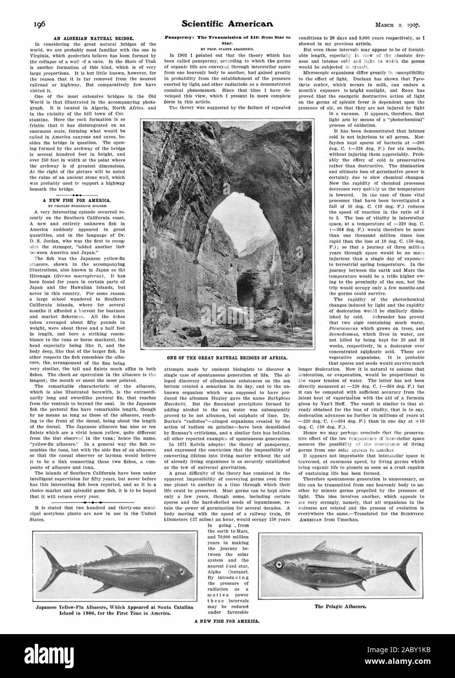 Un pont naturel. Un nouveau poisson pour l'Amérique. Par CHARLES FREDERICK TITULAIRE. Panspermy : La transmission de la Vie de Star t Star. Par le prof. SVANTE ARRHENIUS. L'un des grands ponts naturels de l'Afrique. Un nouveau poisson pour l'Amérique., Scientific American, 1907-03-11 Banque D'Images