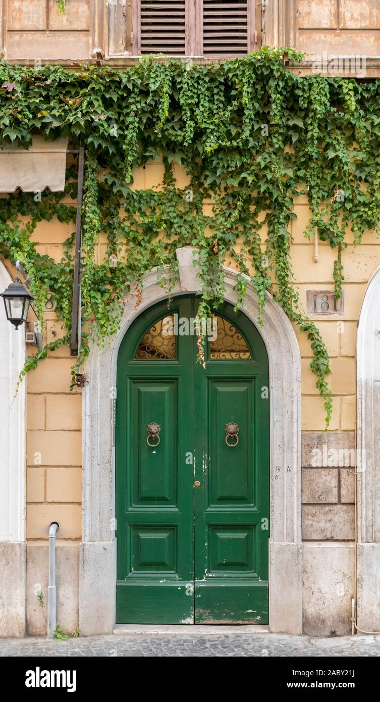 Porte en bois, verte, ancienne et attrayante, fixée dans un mur en pierre, avec une végétation qui pousse au-dessus de la porte Banque D'Images
