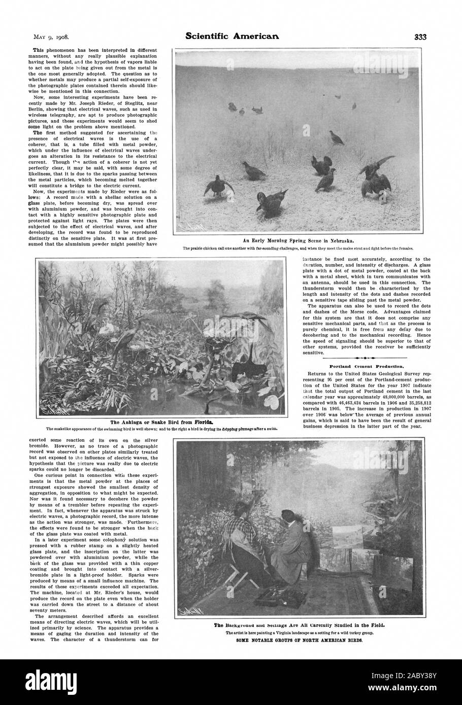 Une scène de printemps au petit matin dans le Nebraska. La production de ciment Portland. Quelques groupes d'oiseaux de l'AMÉRIQUE DU NORD., Scientific American, 1908-05-09 Banque D'Images