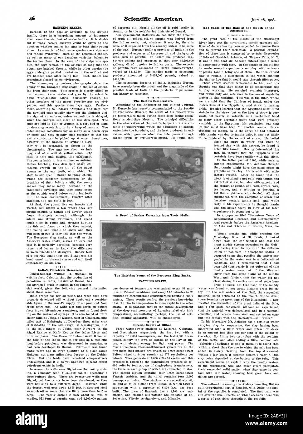 L'éclosion des collets. Les ressources pétrolières de l'Inde. La température de la Terre. L'éclosion des serpents. Alimentation électrique à Bilbao. Mississippi. Par ORRLN E. DUNLAP. Une couvée de serpents qui sortent de leur coquille. Les jeunes de l'éclosion de l'anneau de serpent., Scientific American, 1908-07-18 Banque D'Images