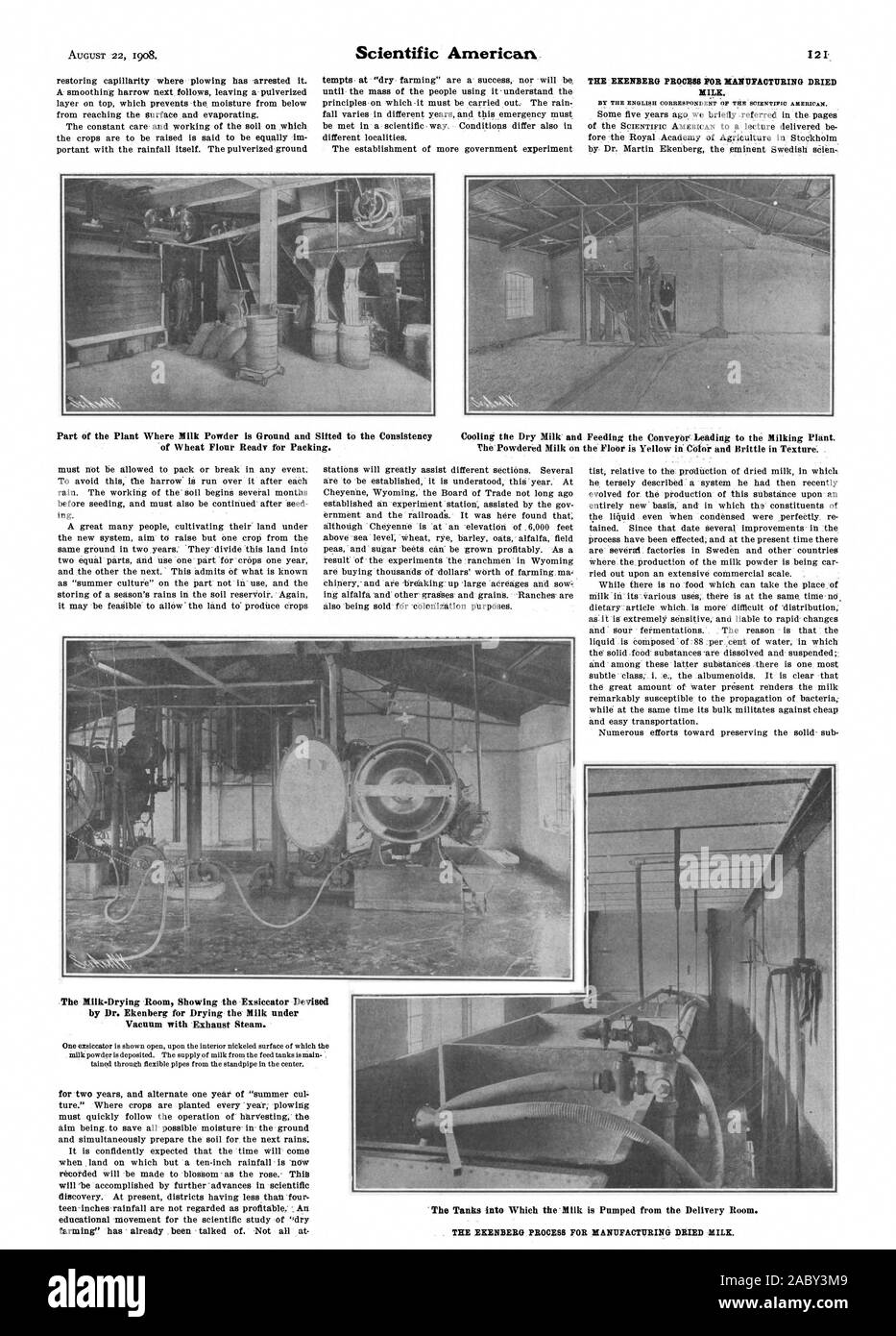 Le lait. Partie de la plante où le lait en poudre est la masse et tamisé pour la cohérence de la farine de blé prêt pour l'emballage. Le refroidissement du lait et l'alimentation le tapis roulant' menant à l'usine de traite. Le lait en poudre sur le sol est de couleur jaune et cassant dans la texture. Le Milk-Drying Exsiccator Chambre montrant la conçue par Dr Ekenberg pour sécher le lait sous vide avec la vapeur d'échappement. pour deux ans et un an de 'summer cul afin d'enregistrer tous les possible l'humidité dans le sol et en même temps préparer le sol pour la prochaine saison des pluies. C'est attendu avec confiance que le temps viendra Banque D'Images