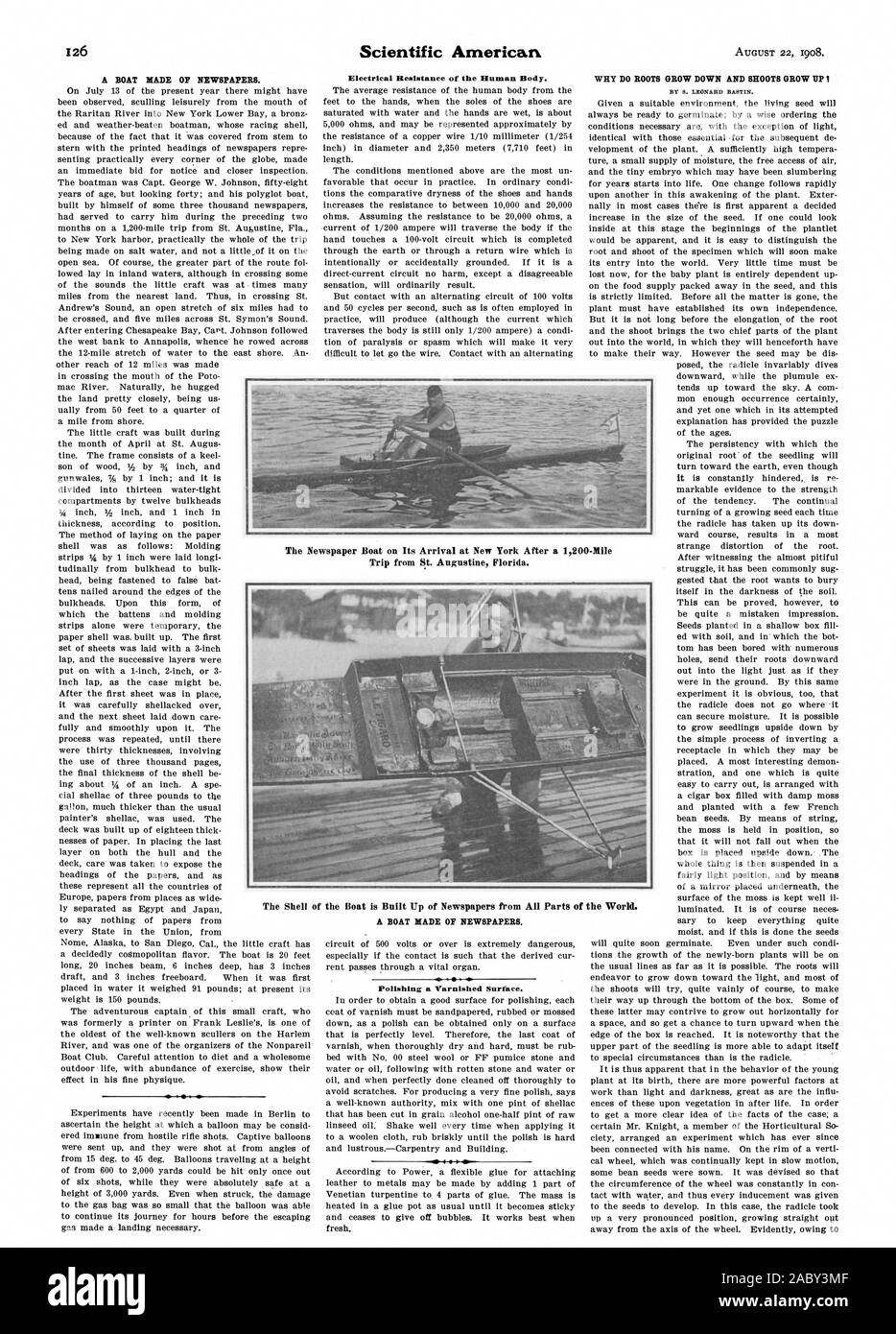 Un BATEAU FAIT DE JOURNAUX. Résistance électrique du corps humain. Un polissage de la surface vernie. Pourquoi ne racines poussent VERS LE BAS ET LES POUSSES GRANDISSENT JE Le journal voile sur son arrivée à New York après un voyage de 1200 milles de Saint Augustin en Floride., Scientific American, 1908-08-22 Banque D'Images