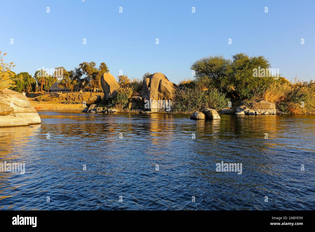 Rochers qui ressemblent à des éléphants sur l'île Éléphantine, sur le Nil à la cataracte du Nil, Assouan, Egypte, Afrique du Sud Banque D'Images