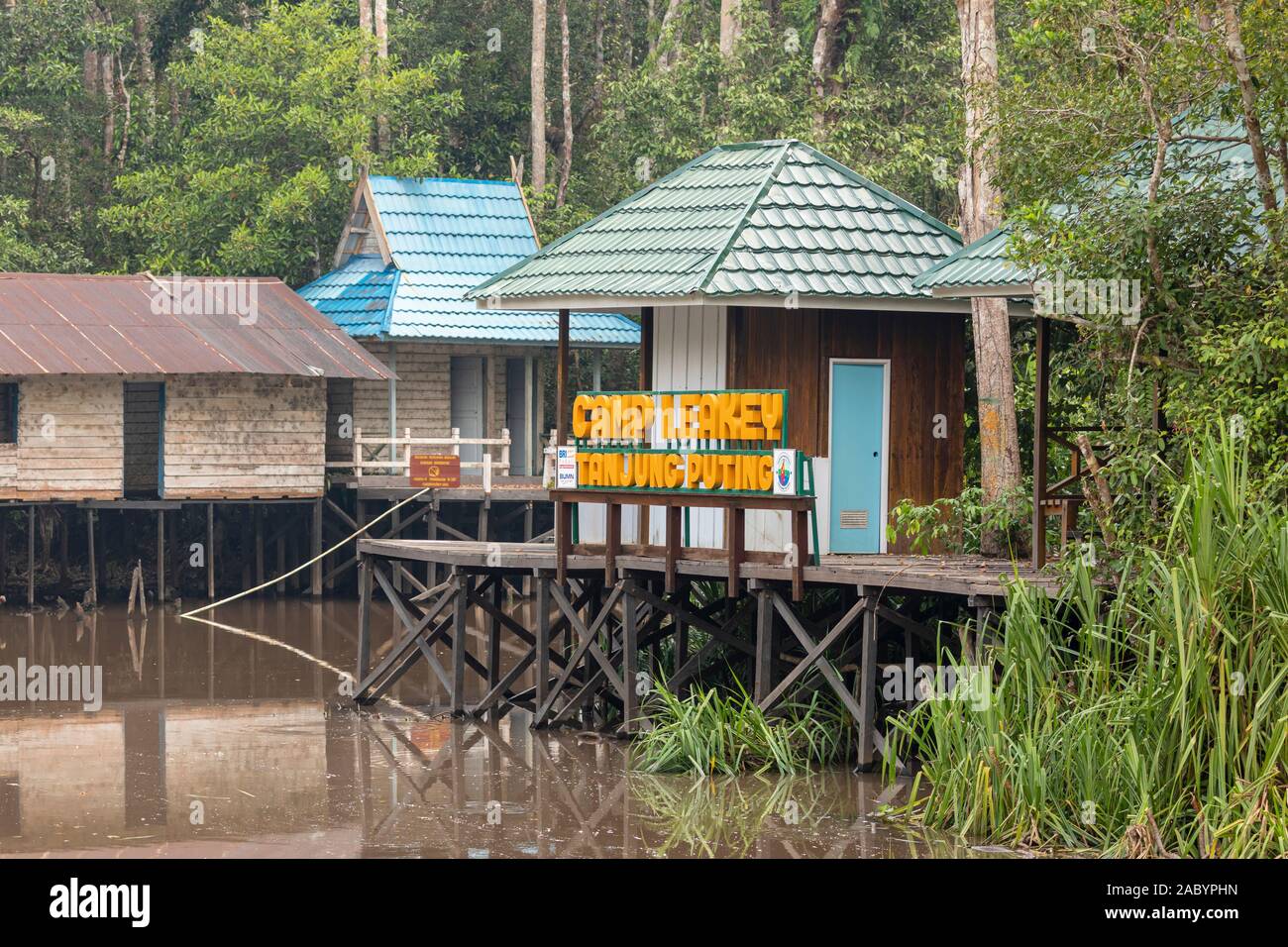 Seykonyer River Camp Leakey, entrée au parc national de Tanjung Puting, Kalimantan, Bornéo Banque D'Images