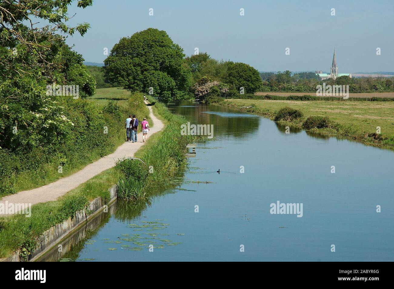 Chichester Ship Canal de Hunston Bridge, regard vers Chichester et la cathédrale de la Sainte Trinité. Mai. West Sussex. Banque D'Images