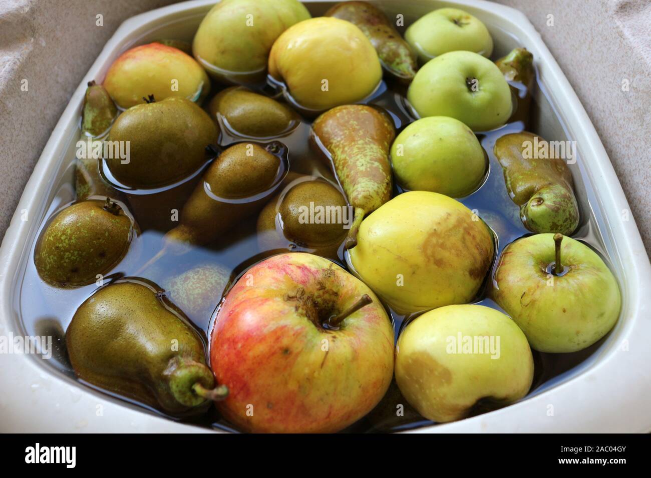 Fraîchement cueilli les pommes et les poires dans un bol d'eau Banque D'Images