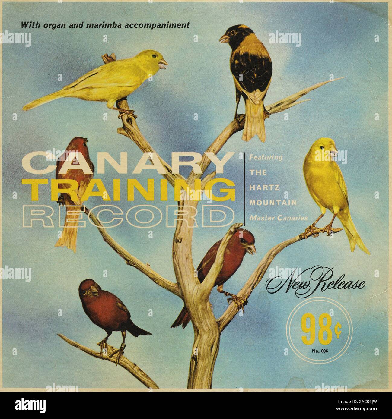 Dossier de formation btp - couverture de l'album vinyle vintage Banque D'Images