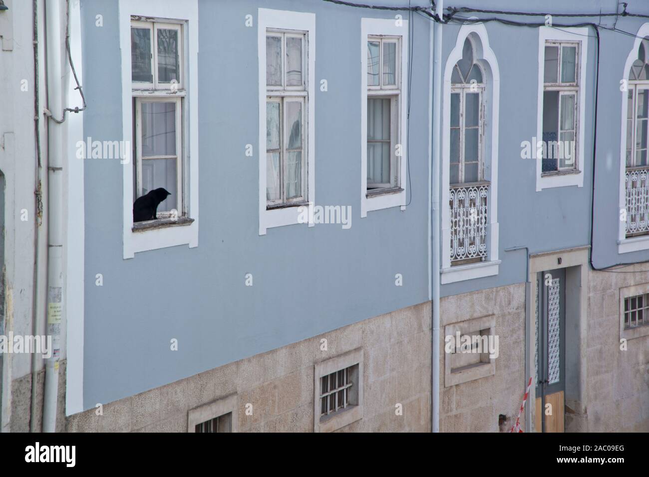 Dans la fenêtre de chat de maison à Coimbra, Portugal Banque D'Images