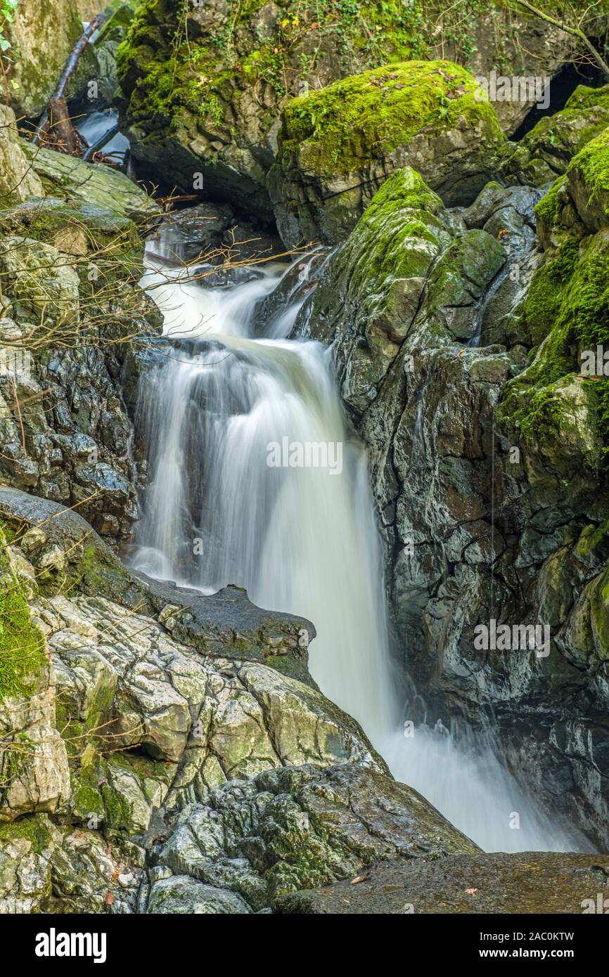 Le Sychryd Falls sur la rivière (Afon) Sychryd en haut de la vallée de Neath en cascade, pays Galles du sud Banque D'Images