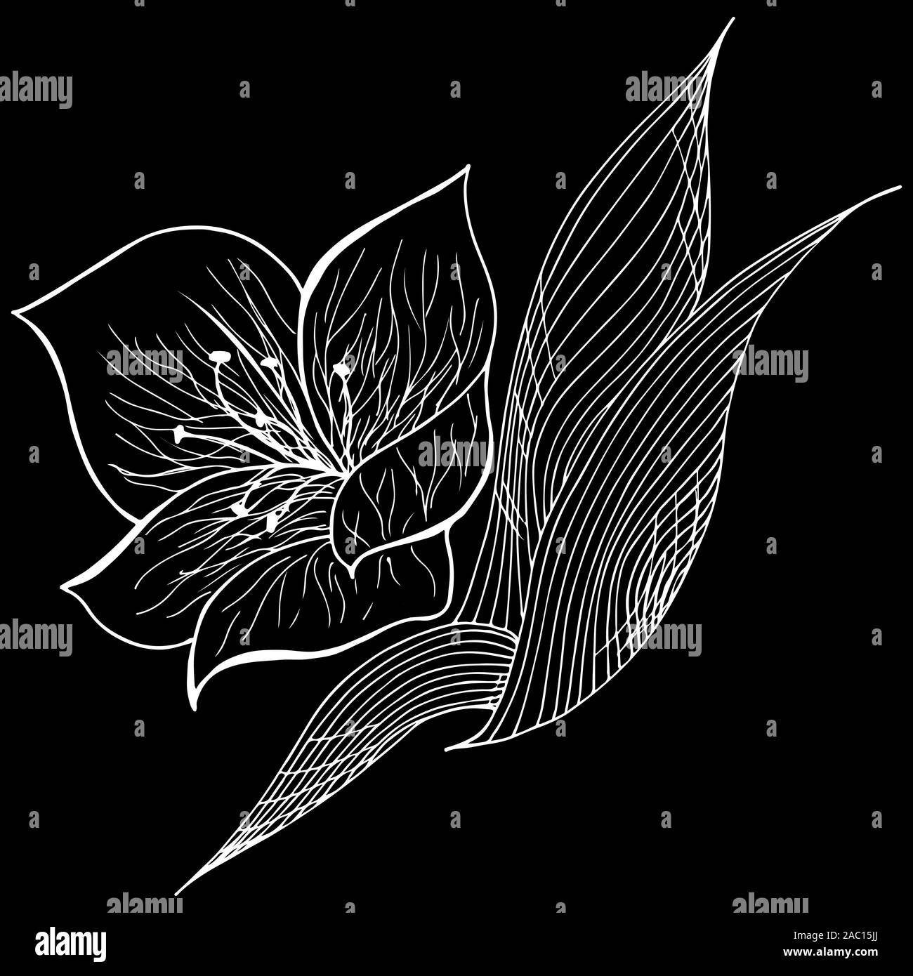 Dessinés à la main, gravée abstract orchid. Fleurs rétro contour main orchidée, grande conception pour tout usage. Contours vecteur. Arrière-plan de la nature. Scieries de pla Illustration de Vecteur
