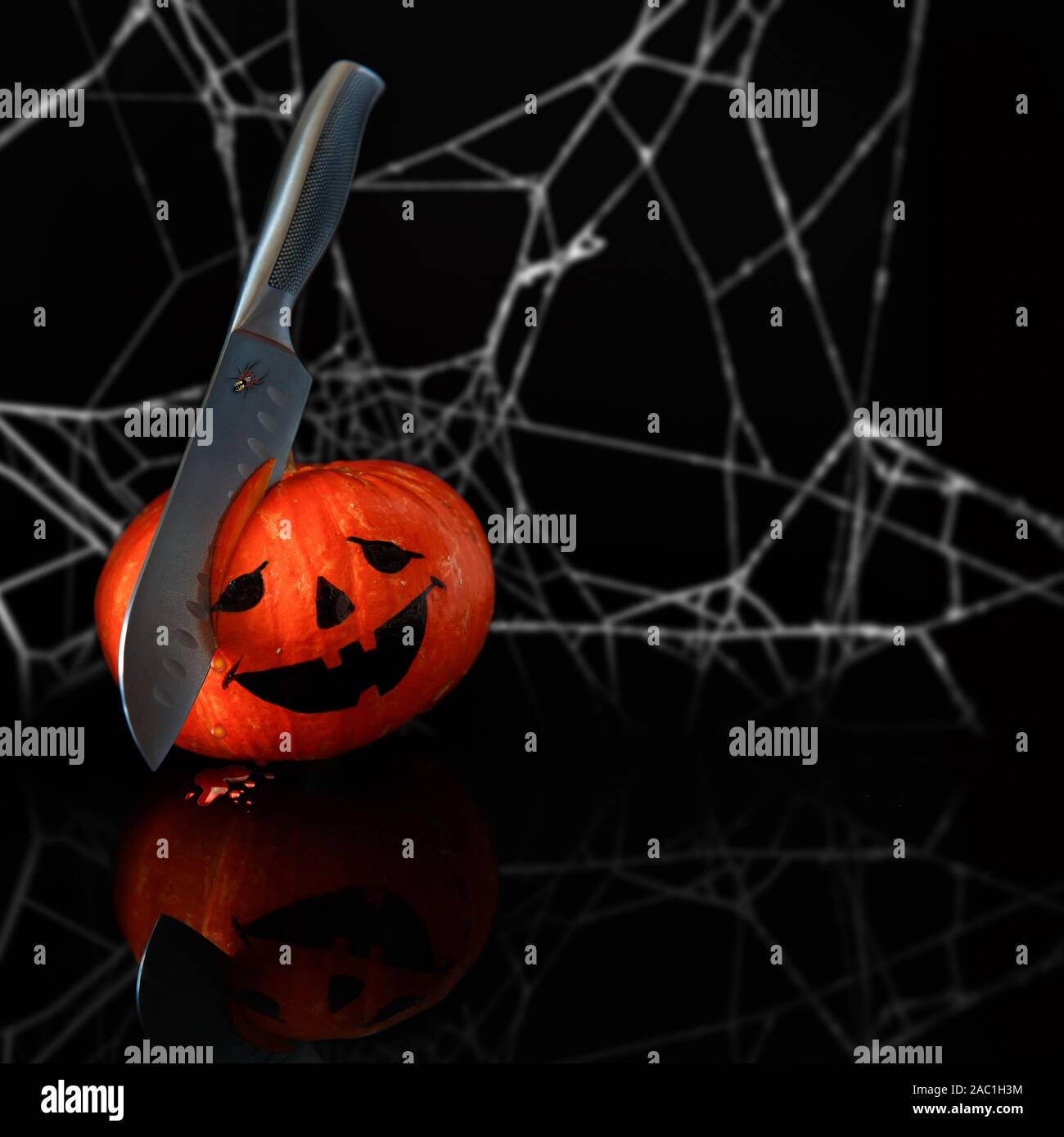 La vie toujours drôle automne avec halloween citrouille sur fond noir Banque D'Images