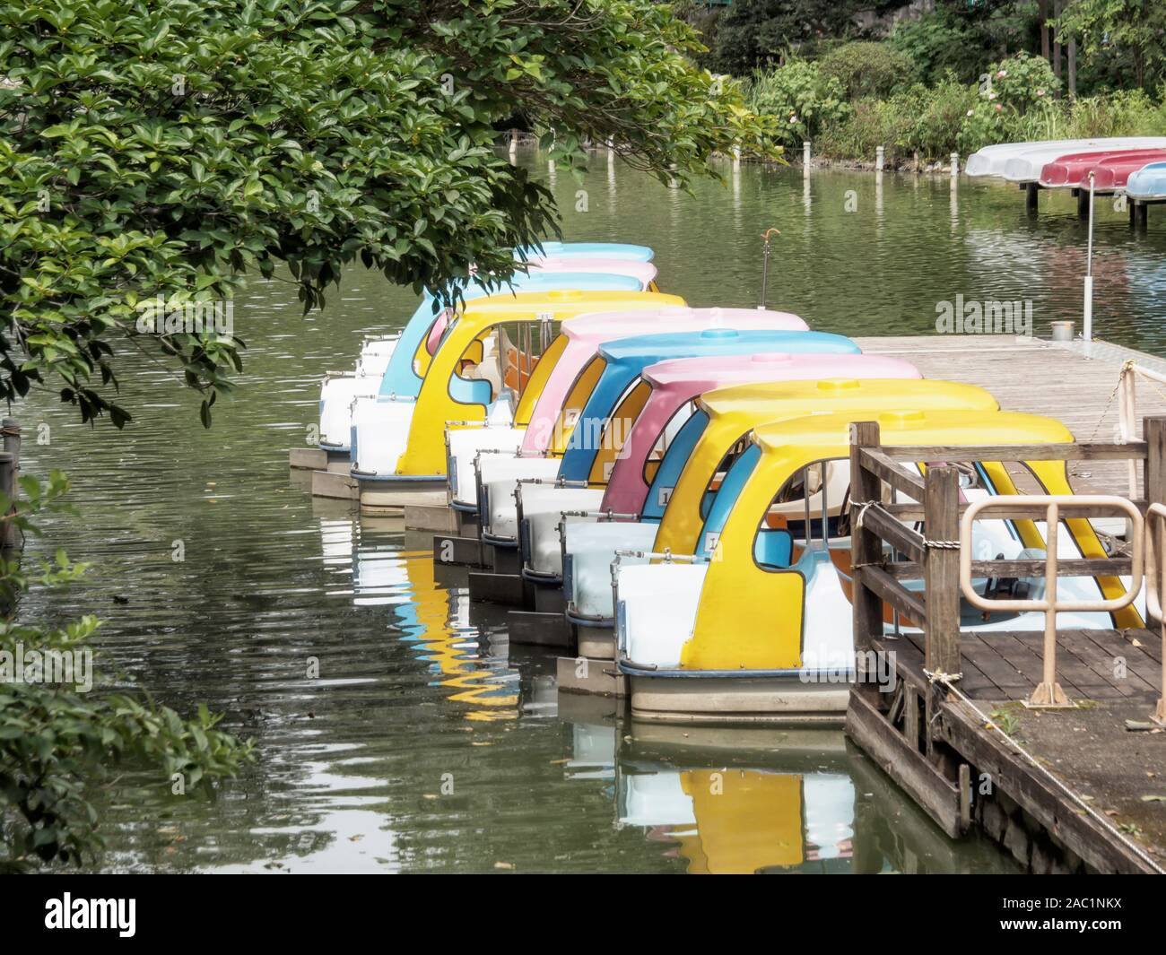 Location de bateaux à pédales au parc Zenpukuji à Tokyo, Japon. Banque D'Images