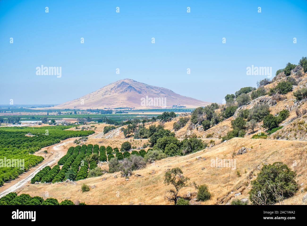 Les orangers à côté est de la vallée centrale dans le comté de Fresno, Californie,USA Banque D'Images