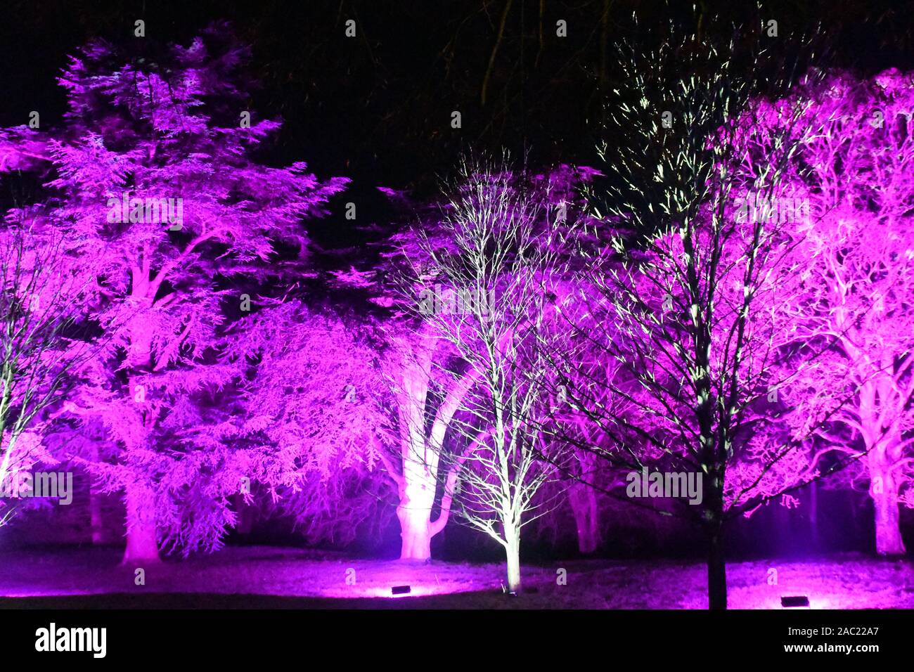 Sentier de la lumière d'hiver, de Noël 2019 à Waddesdon Manor, Waddesdon, España. Thème de la musique de Noël. Banque D'Images