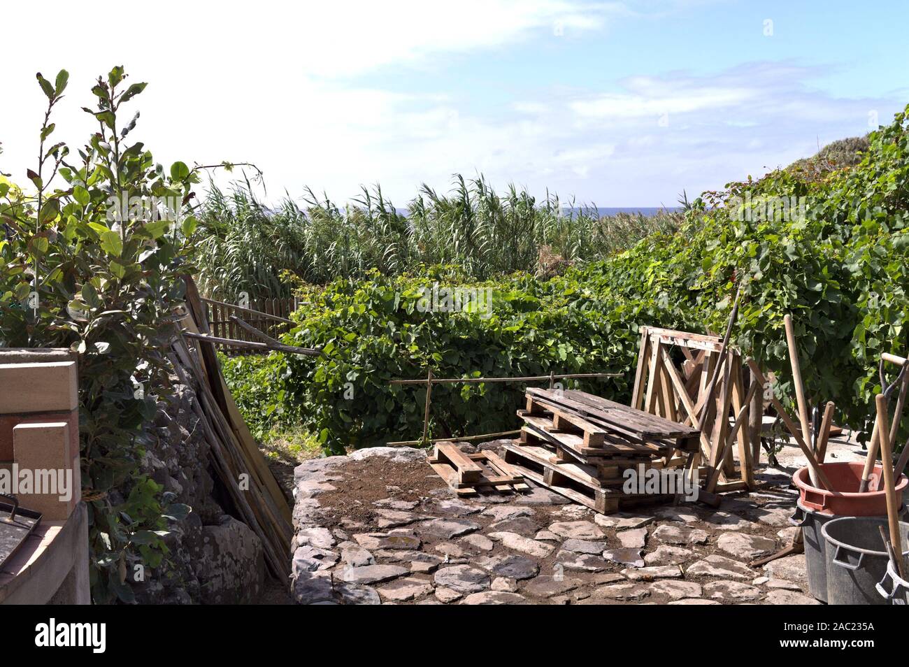 Outils de jardinage dans le jardin sur le plancher d'un lieu rural (Madère, Portugal, Europe) Banque D'Images