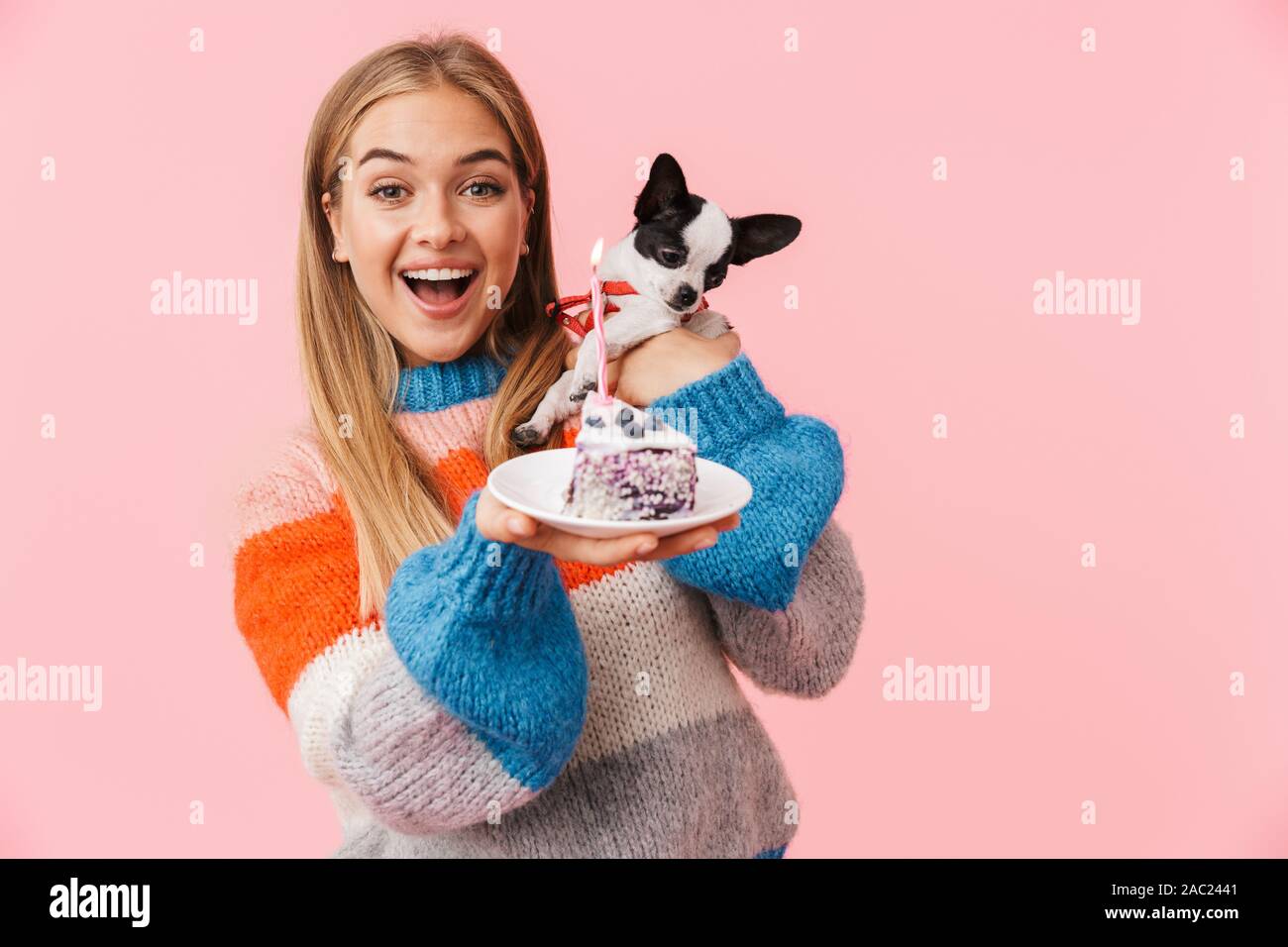 Belle jeune fille heureux montrant morceau de gâteau tout en tenant un chihuahua plus isolé sur fond rose Banque D'Images