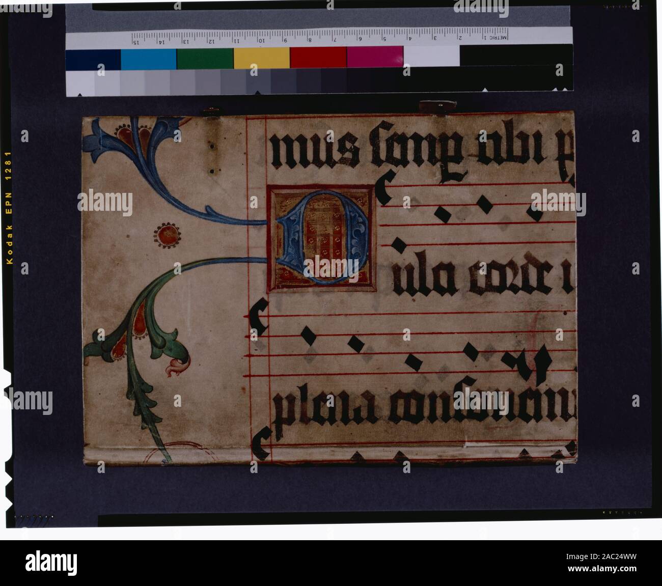 Capot Avant Grande Premiere Sur Champ D Or Avec Des Vignes Jusqu A La Frontiere Et De La Musique Dans La Liste De Ricci Seymour Recensement Des Manuscrits Du Moyen Age Et De La