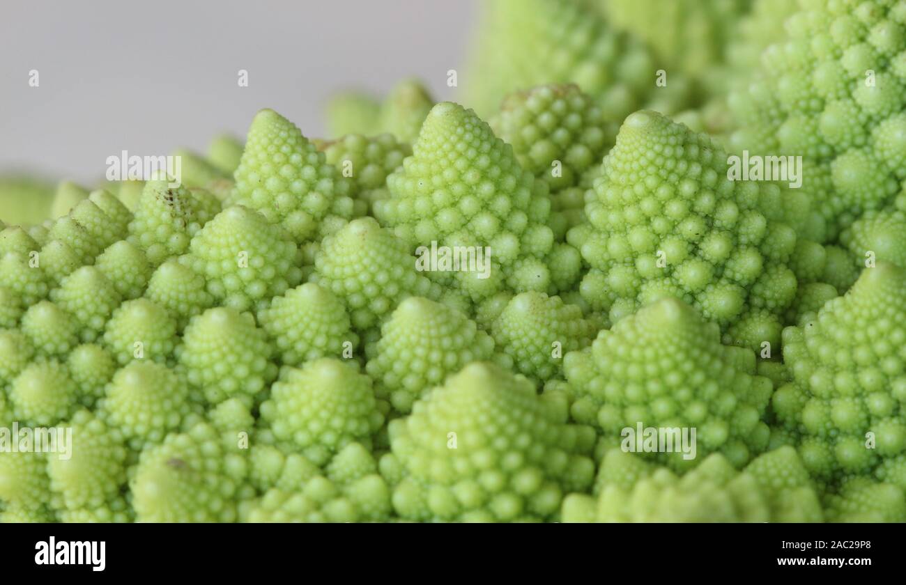 Le brocoli Romanesco de macro, ou chou-fleur romain, avec ses formes fractales et séquences de Fibonacci. Banque D'Images