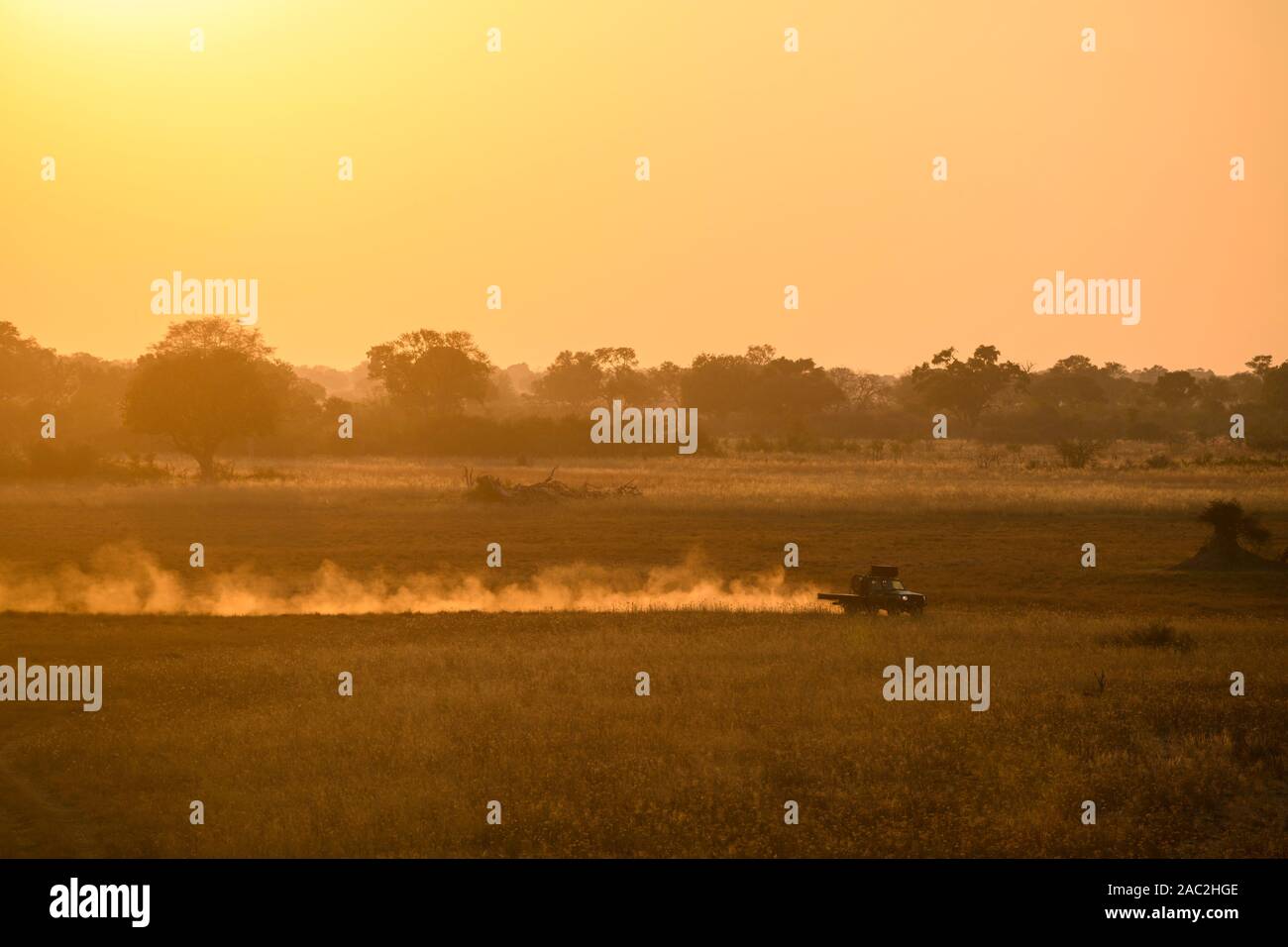 Vue aérienne du sentier de la poussière du véhicule de chasse à partir d'un vol en montgolfière, dans le Delta d'Okavanago, au Botswana Banque D'Images